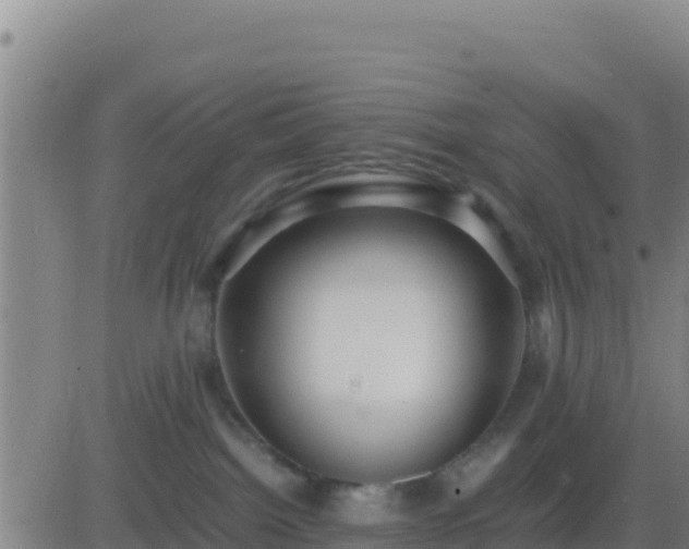 X0000083560092200702162038