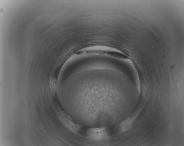 X0000083560093200702162038