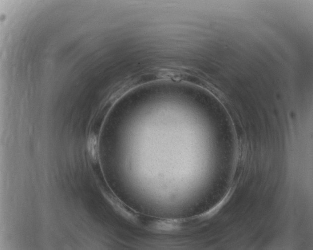 X0000083560094200702162038