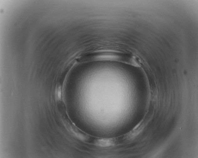 X0000083560095200702162038