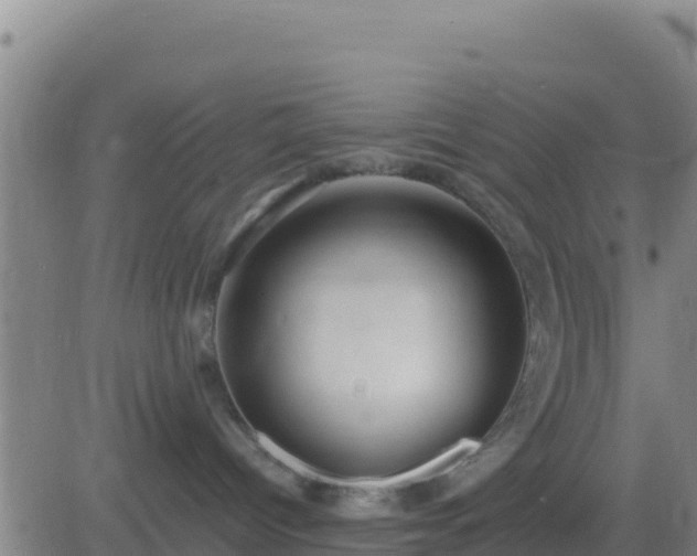 X0000083560096200702162038