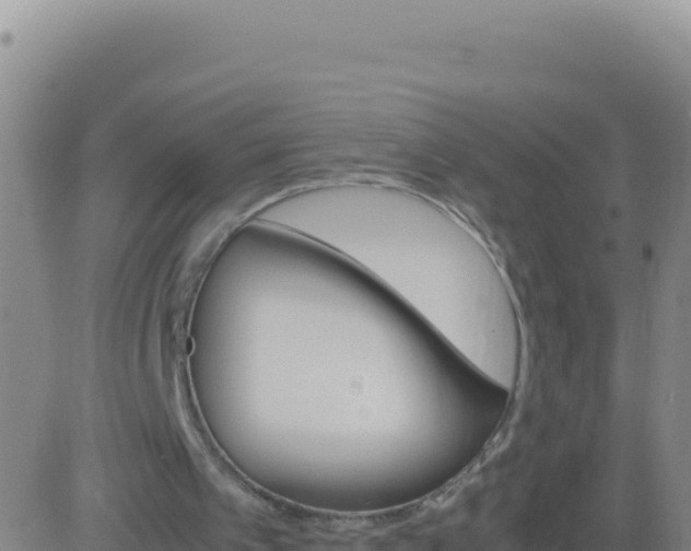 X0000083560097200702162038