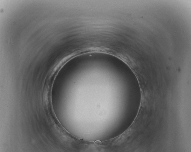 X0000083560098200702162038