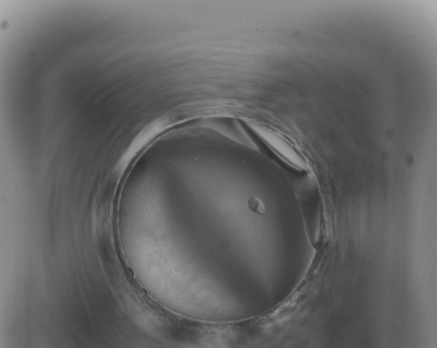 X0000083560099200702162038