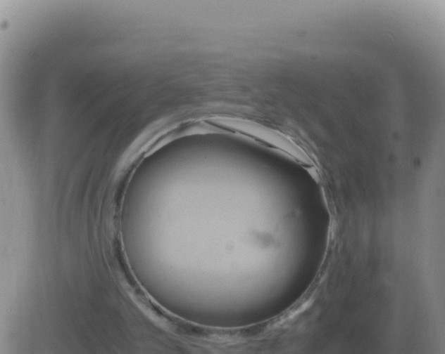 X0000083560101200702162038