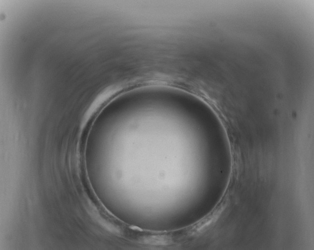 X0000083560102200702162038