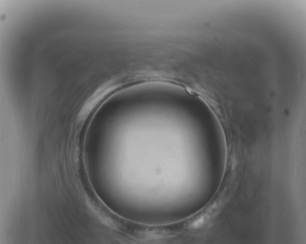 X0000083560103200702162038