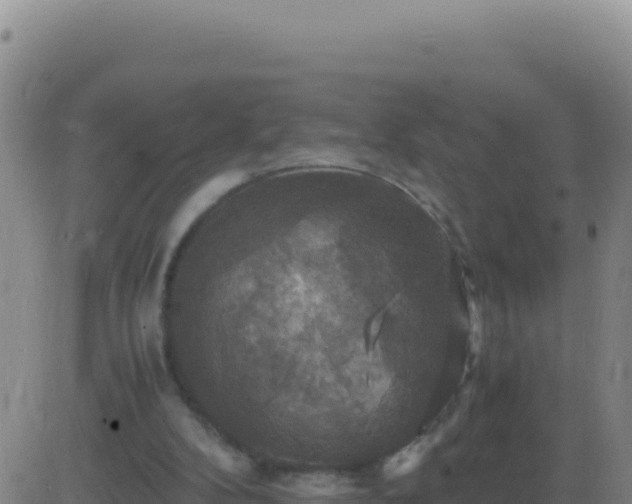 X0000083560104200702162038