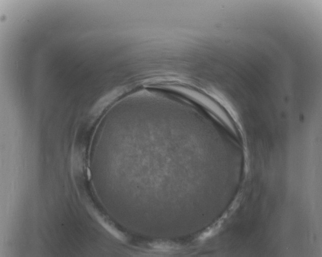 X0000083560105200702162037