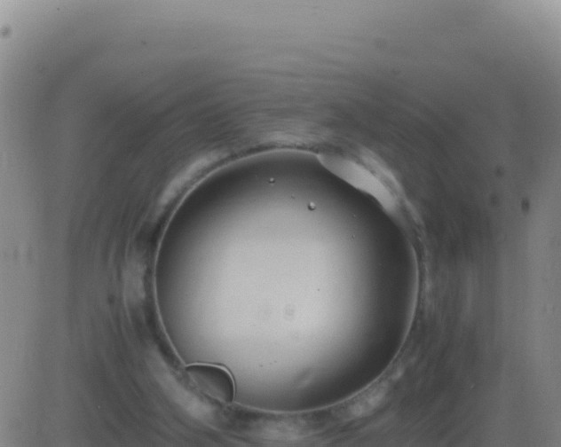 X0000083560106200702162037