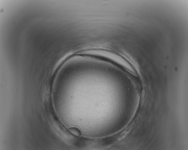 X0000083560107200702162037