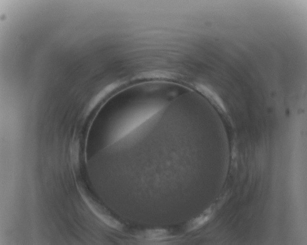 X0000083560108200702162037