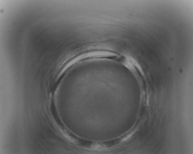 X0000083560109200702162037