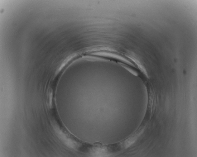 X0000083560110200702162037