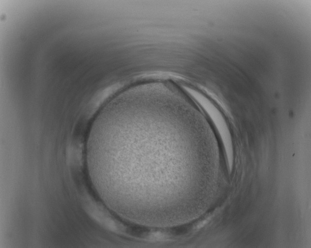 X0000083560111200702162037