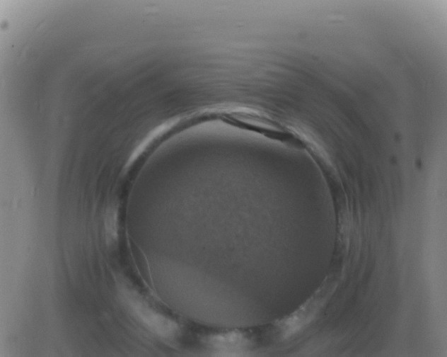 X0000083560112200702162037