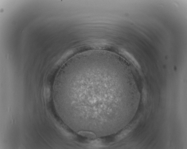 X0000083560113200702162037