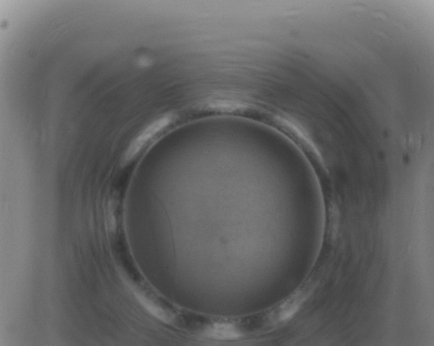 X0000083560114200702162037