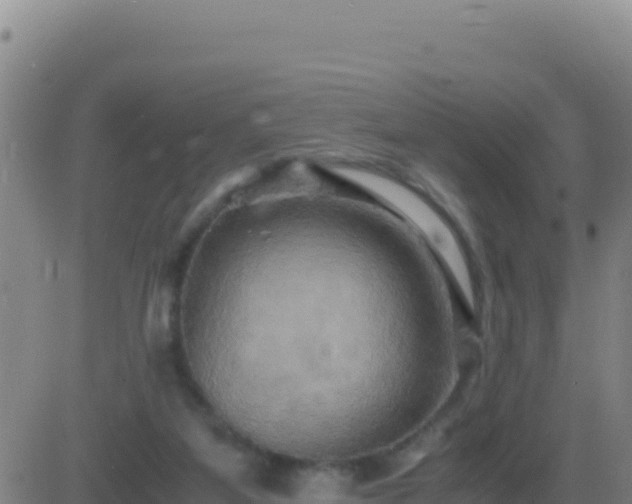 X0000083560115200702162037