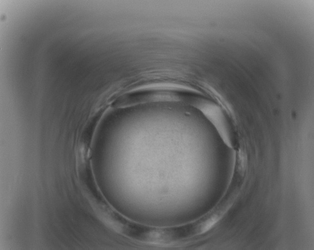 X0000083560117200702162037