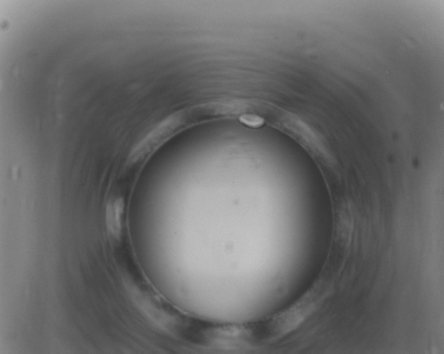 X0000083560118200702162037