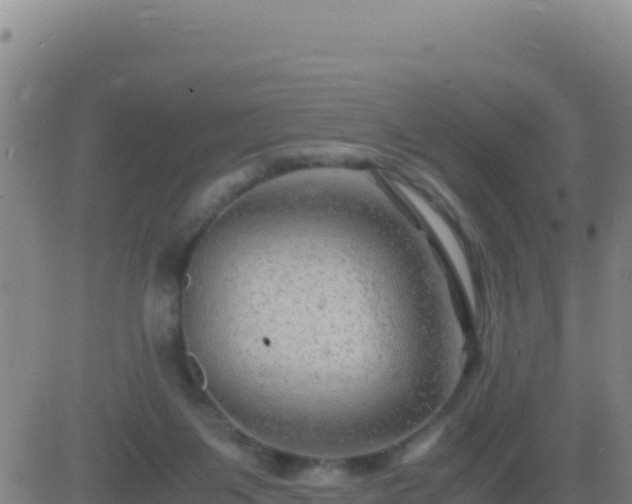 X0000083560119200702162037