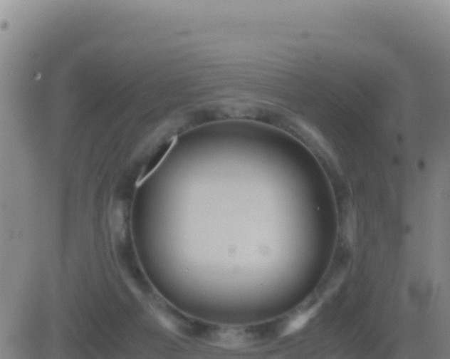 X0000083560121200702162037