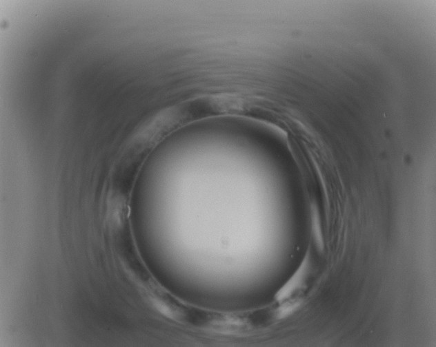 X0000083560125200702162037