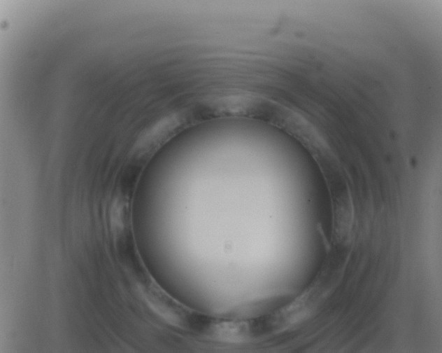 X0000083560126200702162037