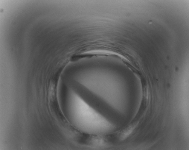 X0000083560127200702162037