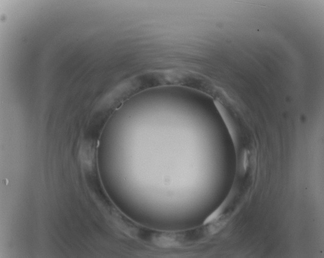 X0000083560129200702162037