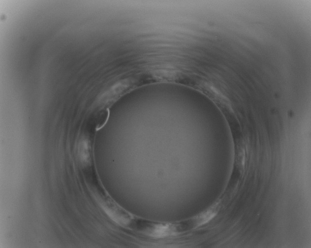 X0000083560130200702162037