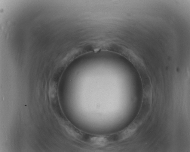 X0000083560133200702162037