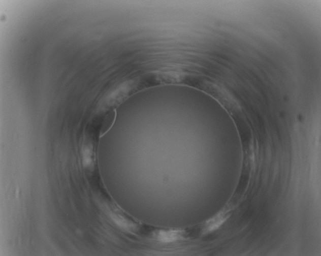 X0000083560134200702162037