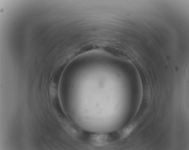 X0000083560135200702162037