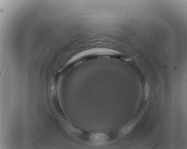 X0000083560137200702162037