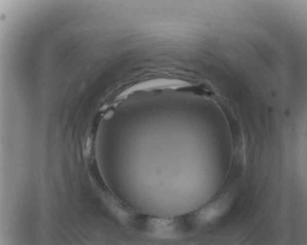 X0000083560139200702162037