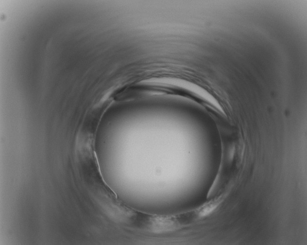 X0000083560141200702162037