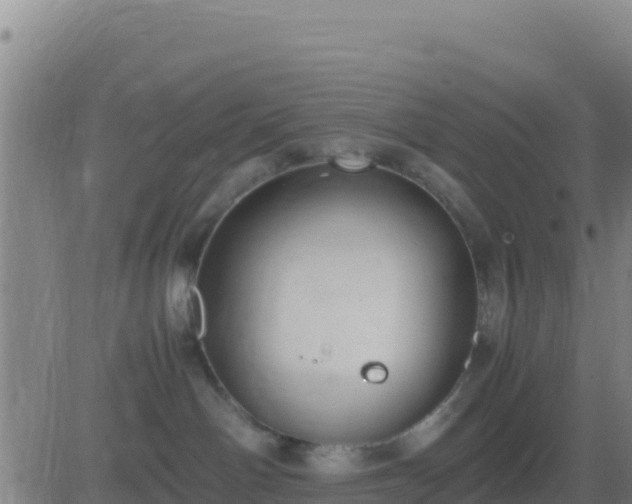 X0000083560142200702162037