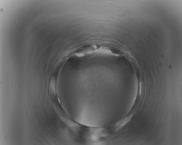 X0000083560143200702162037