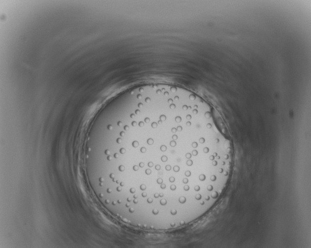 X0000083560145200702162036