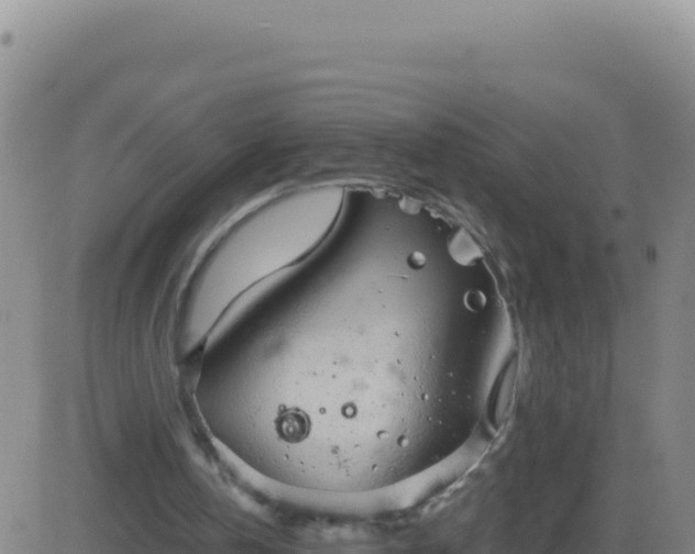 X0000083560146200702162036