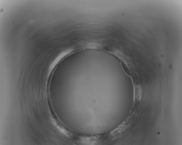 X0000083560147200702162036