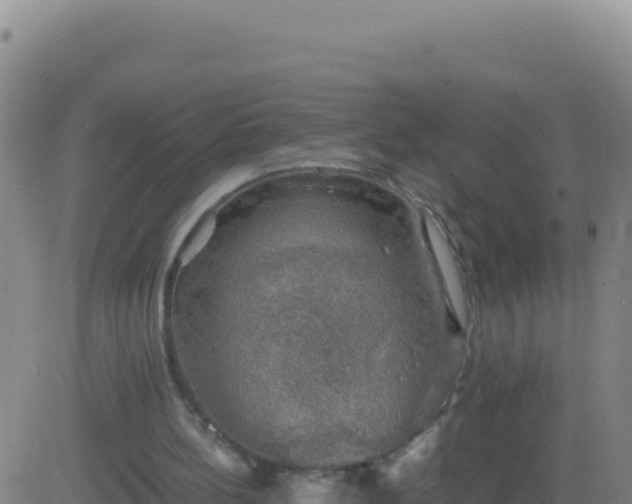 X0000083560148200702162036