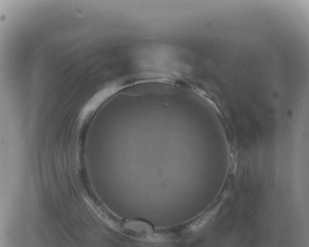 X0000083560149200702162036