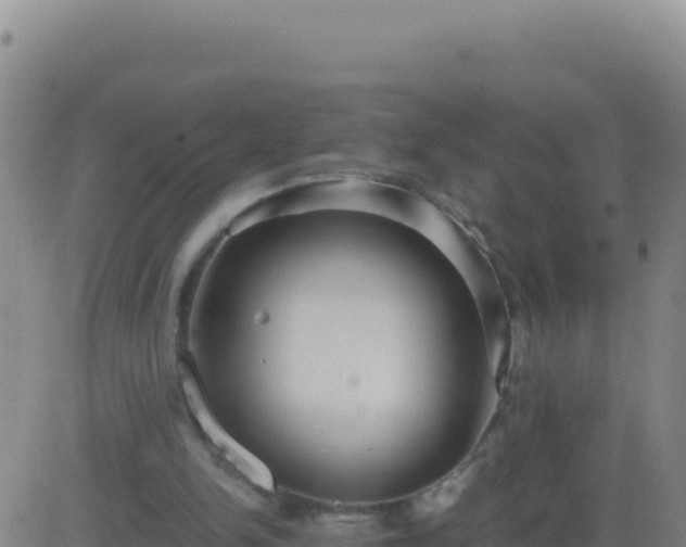 X0000083560150200702162036