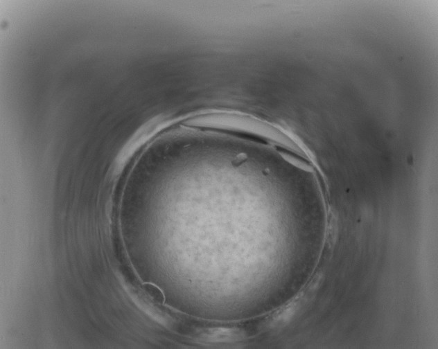 X0000083560151200702162036