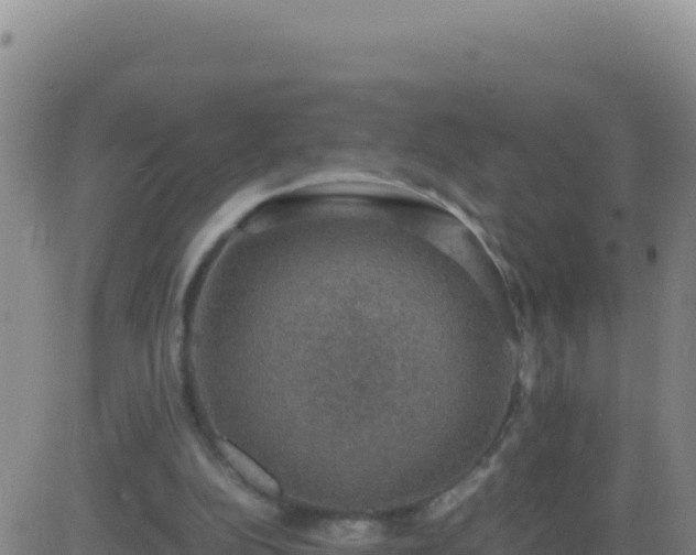 X0000083560152200702162036