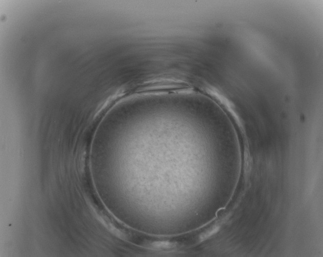 X0000083560153200702162036