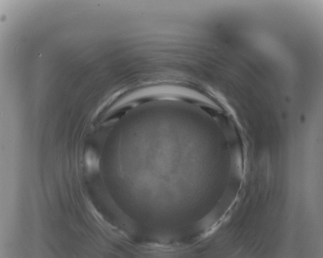 X0000083560154200702162036